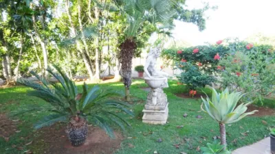 Rustic Finca in El Rosal photo 5