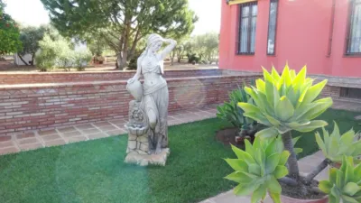 Rustic Finca in El Rosal photo 6