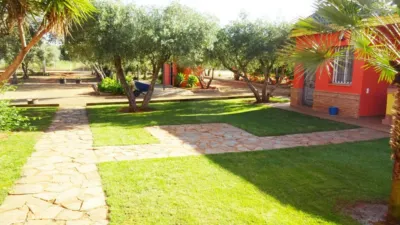 Rustic Finca in El Rosal photo 9