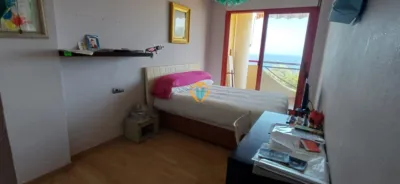 Apartment in Playas del Torres photo 11