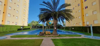 Apartment in Playas del Torres photo 18
