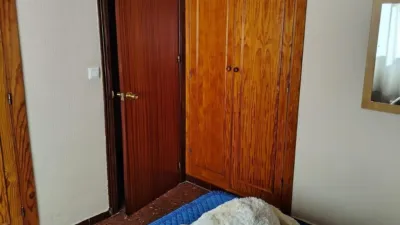Chalet in Colonia San Miguel photo 52