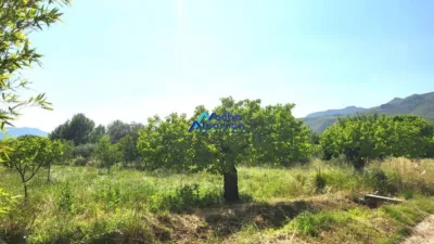 Rustic Finca in Moratalla photo 7