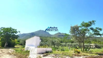 Rustic Finca in Moratalla photo 6