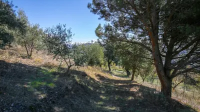 Rustic Finca in Pitres photo 33