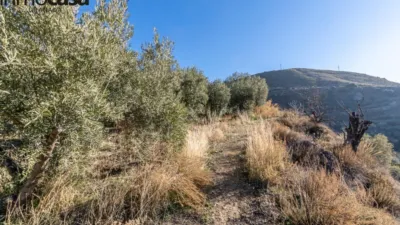 Rustic property on Calle Paraje de La Hoya photo 11