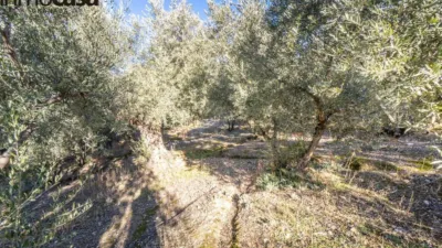 Rustic property on Calle Paraje de La Hoya photo 13