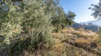 Rustic property on Calle Paraje de La Hoya photo 14