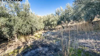 Rustic property on Calle Paraje de La Hoya photo 15