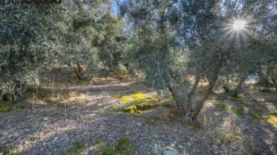 Rustic property on Calle Paraje de La Hoya photo 16