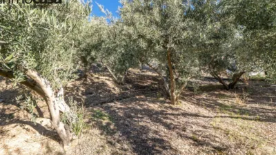 Rustic property on Calle Paraje de La Hoya photo 17