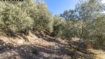 Rustic property on Calle Paraje de La Hoya photo 18