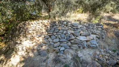 Rustic property on Calle Paraje de La Hoya photo 19