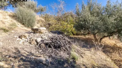 Rustic property on Calle Paraje de La Hoya photo 20