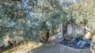Rustic property on Calle Paraje de La Hoya photo 28