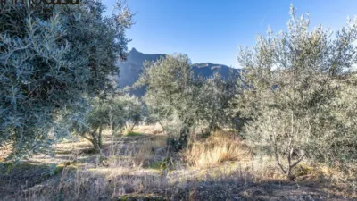 Rustic property on Calle Paraje de La Hoya photo 3