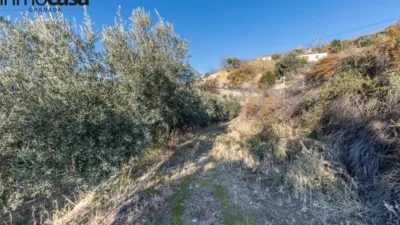 Rustic property on Calle Paraje de La Hoya photo 4