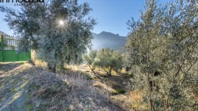 Rustic property on Calle Paraje de La Hoya photo 5
