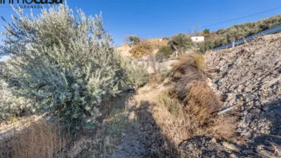 Rustic property on Calle Paraje de La Hoya photo 7