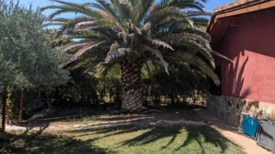 Rustic Finca in Northern Spain photo 11