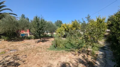 Rustic Finca in Northern Spain photo 9