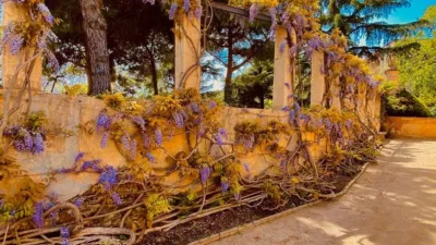 Ático en alquiler en Carrer d'Enric Granados, cerca de Carrer de Mallorca - Imagen 25
