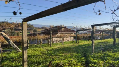 Chalet en venta en Calle Cuiña-Tremoedo, Andras (Vilanova de Arousa) de 600.000 €