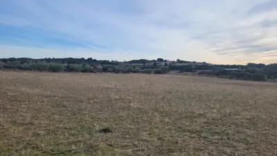 Rustic farm in Sin Zona photo 12