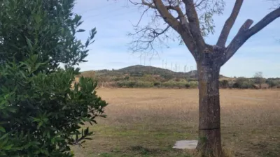 Rustic farm in Sin Zona photo 17