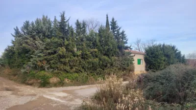 Rustic farm in Sin Zona photo 20