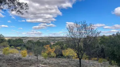 Finca rústica en venta en Villarejo de Salvanés, Villarejo de Salvanés de 390.000 €