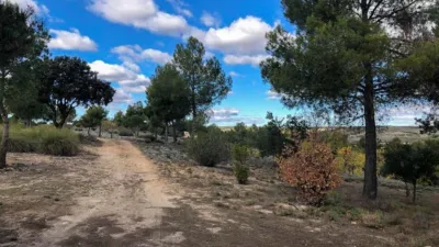 Finca rústica en venta en Villarejo de Salvanés, Villarejo de Salvanés de 390.000 €