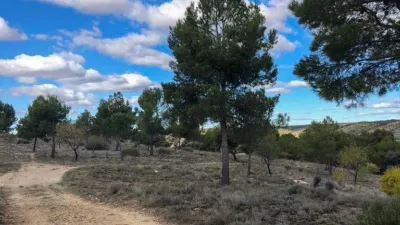 Finca rústica en venta en Villarejo de Salvanés, Villarejo de Salvanés de 390.000 €