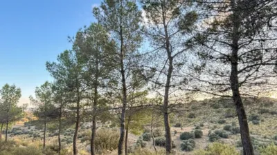 Finca rústica en venta en Villarejo de Salvanés, Villarejo de Salvanés de 390.000 €