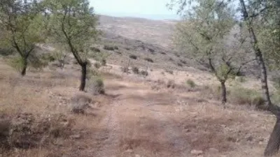 Rustic finca on Calle Deseminados photo 21