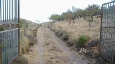 Rustic finca on Calle Deseminados photo 24