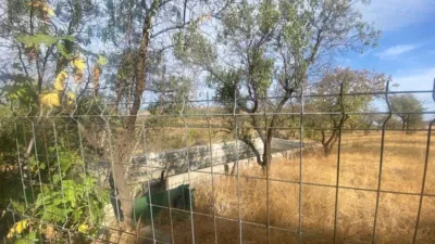 Rustic finca on Calle Deseminados photo 27