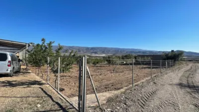 Rustic Finca in Andalucia photo 10