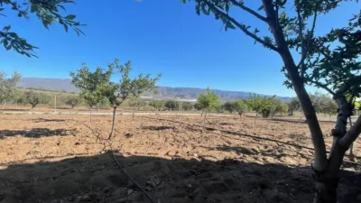 Rustic Finca in Andalucia photo 4