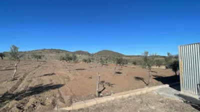 Rustic Finca in Andalucia photo 8