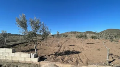Rustic Finca in Andalucia photo 9