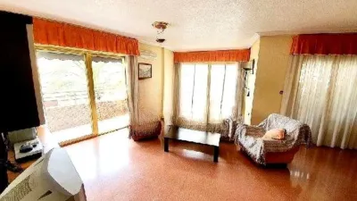 Pis – Elx - Elche - Vista 5
