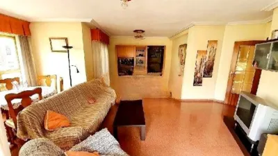 Apartment in Elche photo 9