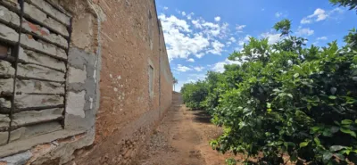Rustic finca in Alginet photo 15