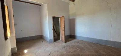 Rustic finca in Alginet photo 19