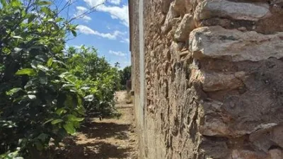 Rustic finca in Alginet photo 21