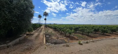 Rustic finca in Alginet photo 6