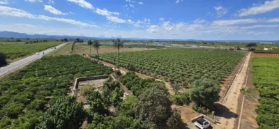 Rustic finca in Alginet photo 7