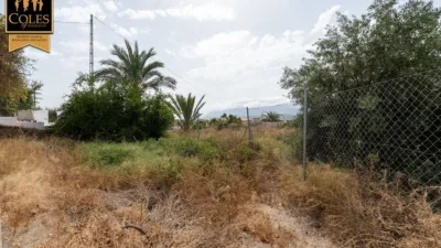 Rustic finca on Calle Bo Collados Los photo 16