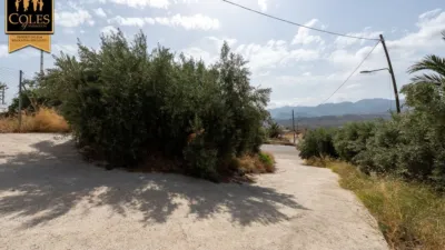 Rustic finca on Calle Bo Collados Los photo 17